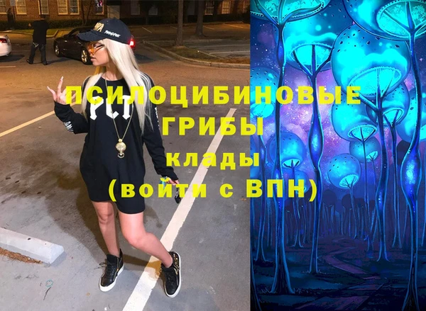 шишки Вязьма