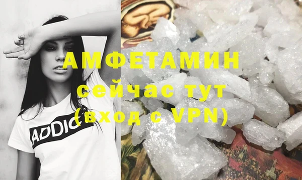шишки Вязьма